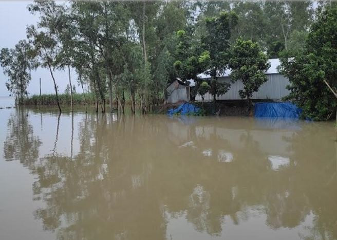 সিরাজগঞ্জে যমুনার পানি বৃদ্ধি অব্যাহত, অস্থায়ী ঘরে আশ্রয়ে অনেকে