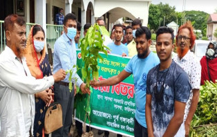 উপনেতার পক্ষ থেকে বিনামুল্যে গাছের চারা বিতরণ
