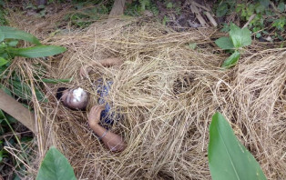 সদরপুরে জঙ্গল থেকে যুবকের লাশ উদ্ধার 