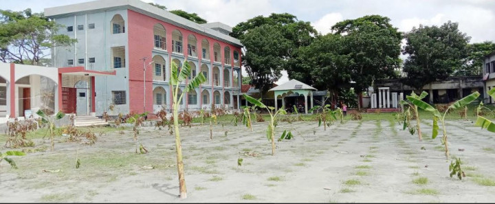 কলা গাছ রোপন করে বিদ্যালয়ের মাঠ দখল  