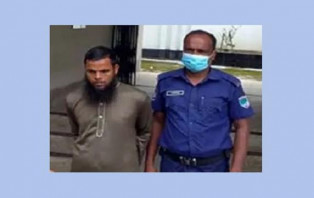 মহেশপুর সীমান্তে নারী-শিশুসহ আটক ১৬