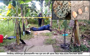 কোটচাঁদপুরে লাঙ্গলের ফালে উঠে এলো ৩টি শক্তিশালী গ্রেনেড ও ২৪৮ রাউন্ড গুলি