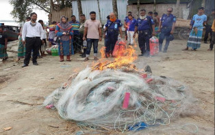 সদরপুরে মা ইলিশ রক্ষার অভিযানে ১০ হাজার মিটার কারেন্ট জাল জব্দ ও ভস্মীভূত