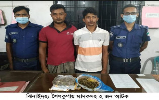 শৈলকুপায় গাঁজাসহ ২ জন গ্রেফতার