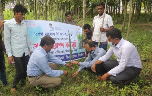 ঝিনাইদহে নানা আয়োজনে শেখ রাসেলের জন্মবার্ষিকী উদযাপন