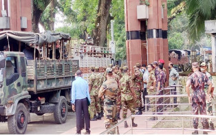 বাংলাদেশ সেনাবাহিনীকে ১৫ ঘোড়া উপহার দিলো ভারত