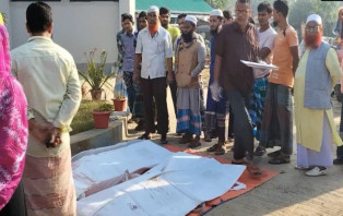 গাজীপুরে মুরগিবাহী পিকআপ চাপায় তিনজন নিহত