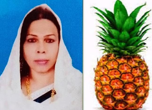ঝিনাইদহের কালীগঞ্জে দেশের প্রথম হিজরা ইউপি চেয়ারম্যান পদপ্রার্থী 
