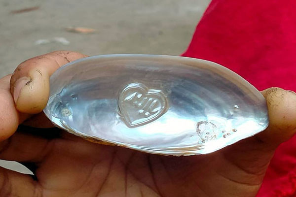 ঝিনুকের ভেতর খোদাই করা আল্লাহর নাম!