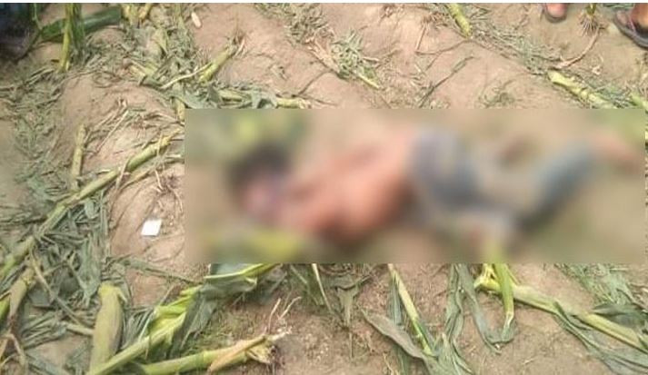 মাংস রান্না করে অপেক্ষায় মা, ১৮ ঘণ্টা পর ইউসুফ মিলল মৃত