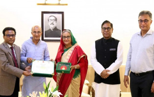 বিদ্যুৎ বিভাগের স্বাধীনতা পুরষ্কার তুলে দেওয়া হলো প্রধানমন্ত্রীর হাতে