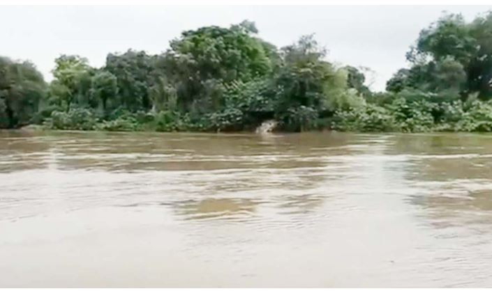 সরিষাবাড়িতে নদীতে ভাসছিল নিখোঁজ বাবা-মেয়ের মরদেহ