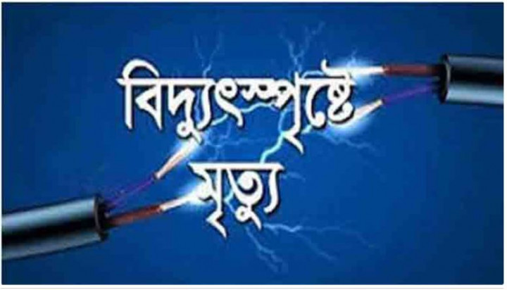 নাটোরে বিদ্যুৎস্পৃষ্টে নিহত ২