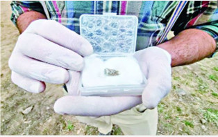 ১৮ লাখ বছর আগের মানুষের দাঁত