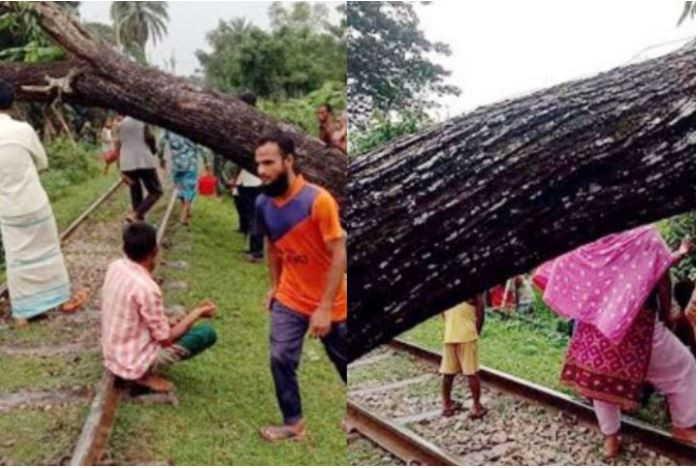 রেললাইনে গাছ পড়ে ঢাকা-ময়মনসিংহ রুটে ট্রেন চলাচল বন্ধ