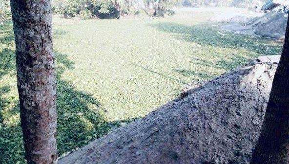 সদরপুরে শতবর্ষী পুকুর ভরাট করায় স্থানীয়দের ক্ষোভ