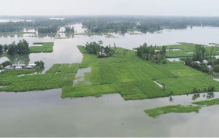 দুধকুমারের পানি বিপৎসীমার ৪৮ সেন্টিমিটার ওপরে, চরাঞ্চল প্লাবিত
