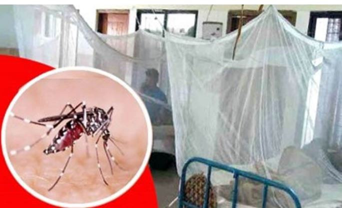 সদরপুরে লাফিয়ে বাড়ছে ডেঙ্গুরোগী 