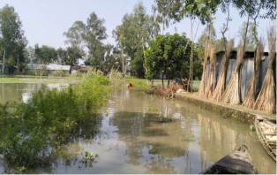 জামালপুরে যমুনার পানি বিপৎসীমার ওপরে