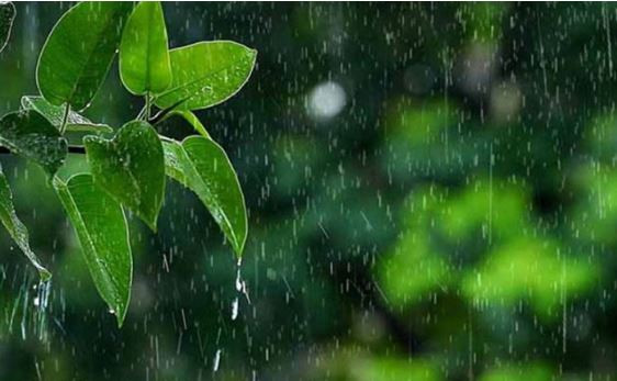 দেশের যেসব অঞ্চলে বৃষ্টির সম্ভাবনা