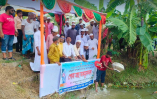 চরভদ্রাসন উপজেলায় বর্ষাপ্লাবিত প্লাবনভূমিতে পোনামাছ অবমুক্ত