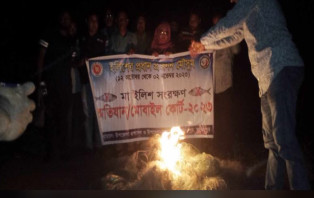 সদরপুরে মা ইলিশ সংরক্ষণে পদ্মায় রাতে অভিযান, ১ হাজার মিটার জাল পুড়িয়ে ধ্বংস  