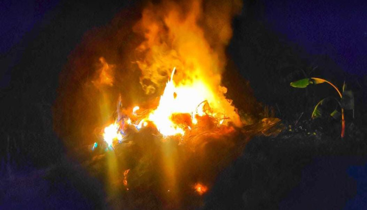 চরভদ্রাসনে অবৈধ কারেন্ট জাল এবংঅবৈধ চায়না দুয়ারী জব্দ,আটক ৫