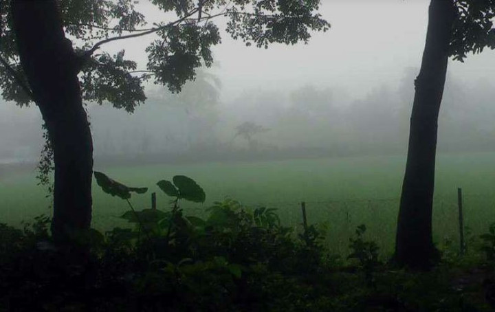 চরভদ্রাসনে তাপমাত্রা কমছে, হেমন্তের প্রকৃতিতে শীতের আমেজ