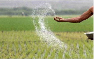 ১১৪২ কোটি টাকার সার কেনার অনুমোদন
