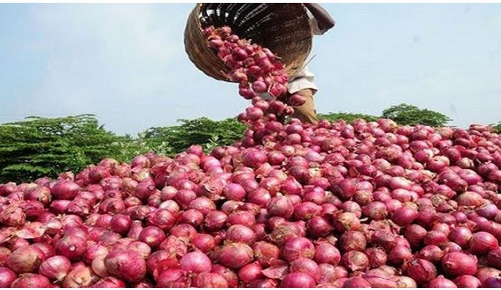 দেড়মাসের জন্য ভারত থেকে পেঁয়াজ আমদানি না করার আহ্বান