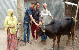 আজ থেকে হামার ঘার থেকে জোয়াল নামল