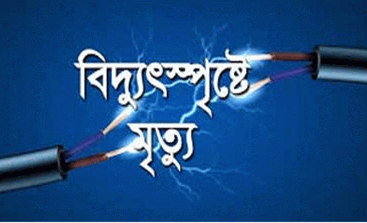 পল্লী বিদ্যুৎতের ট্রান্সফরমার চুরি করতে গিয়ে এক ব্যক্তির মৃত্যু
