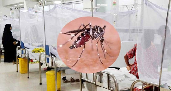 ডেঙ্গুতে আরও ৫ জনের মৃত্যু, হাসপাতালে ৯৮১