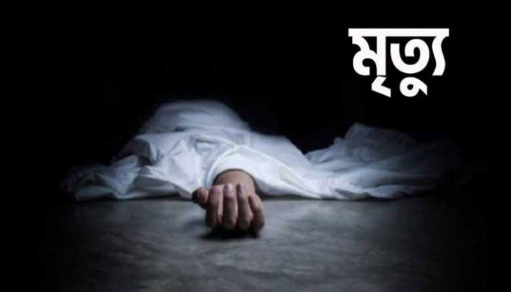 প্রতিবেশীদের অপমান সহ্য করতে না পেরে তরুণীর বিষপান
