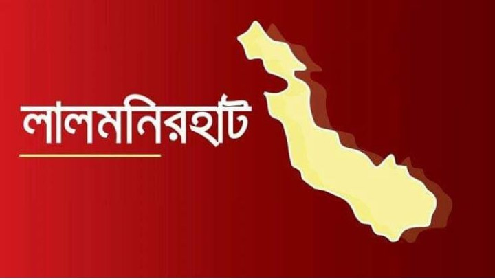 পাটগ্রাম সীমান্ত থেকে বাংলাদেশিকে ধরে নিয়ে গেছে বিএসএফ