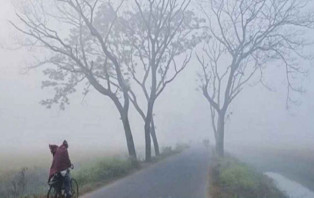 শীতে কাঁপছে চুয়াডাঙ্গা, তাপমাত্রা ১০ ডিগ্রির ঘরে
