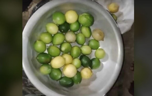 বিশ্বম্ভরপুরে ১৫০টাকা  লেবু হালি, দ্রব্য মূল্যের দাম লাগামহীন 