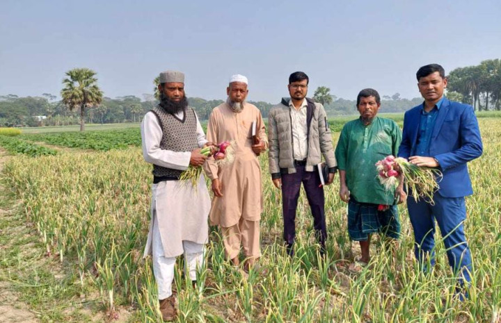 ভাঙ্গায় ভারতীয় ‘নাসিক এন-৫৩ জাতের গ্রীষ্মকালীন পেঁয়াজ চাষে উদ্দীপনায় প্রান্তিক কৃষক