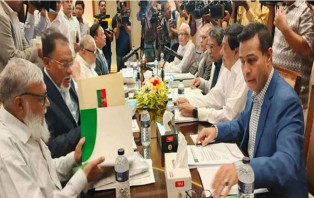 বিএনপির ভূমিকা জনগণের কাছে প্রশংসিত: আলী রীয়াজ