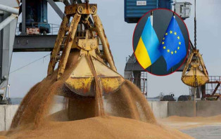 বাংলাদেশি প্রতিষ্ঠানের ওপর ইইউর নিষেধাজ্ঞা চায় ইউক্রেন