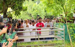 শহীদ আবরারের কবর জিয়ারত করে কুষ্টিয়ায় জুলাই পদযাত্রা শুরু