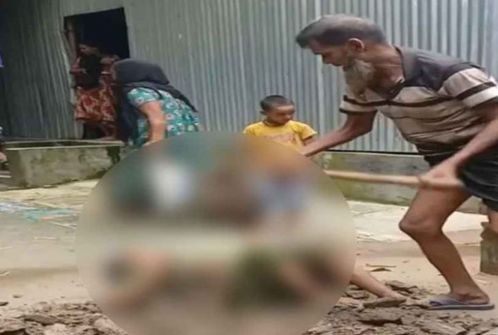  জানা গেল ভাইরাল সেই ভিডিওটির আসল ঘটনা