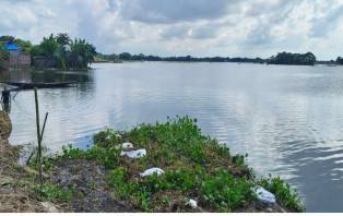 আলফাডাঙ্গায় মধুমতির চরাঞ্চলে বন্যা
