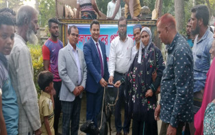 আলফাডাঙ্গায় চর অঞ্চলের সুফলভোগীদের মাঝে দেশি জাতের ব্ল্যাক বেঙ্গল ছাগল বিতরণ