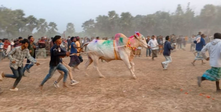 সদরপুরে ঐতিহাসিক গরু দৌড় প্রতিযোগিতা অনুষ্ঠিত