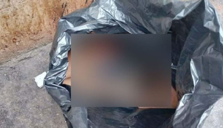 রাজধানীতে হাত-পায়ের পর এবার মিলল লাশের খণ্ডিত মাথা