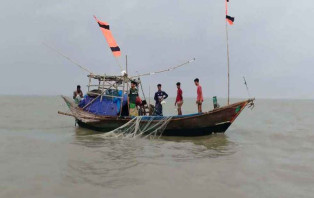 ভরা মৌসুমেও দেখা নেই ইলিশের