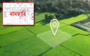 নতুন নিয়মে জমির নামজারি, যেসব কাগজপত্র লাগবে