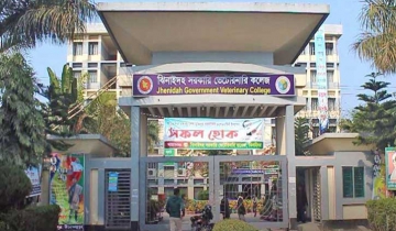 ঝিনাইদহ সরকারি ভেটেরিনারি কলেজে র‌্যাগিং, কলেজ ভাংচুর