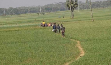 সালথায় পিঁয়াজ চাষে লক্ষ্যমাত্রা অতিক্রম করেছে